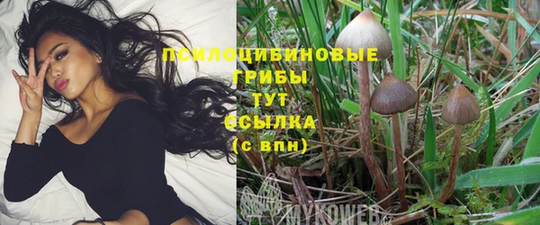 МДПВ Абаза