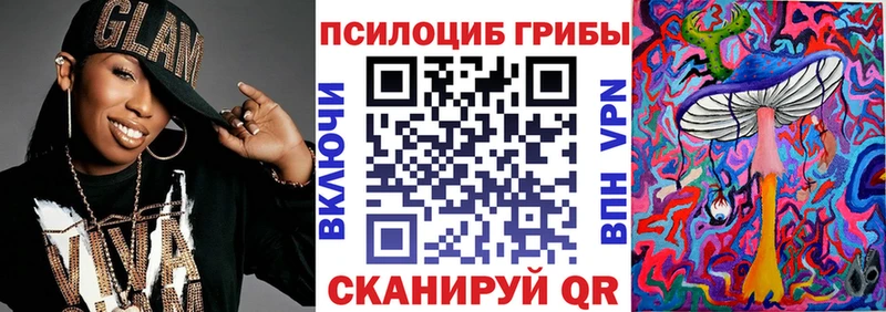 Псилоцибиновые грибы мухоморы  закладки  Абаза 